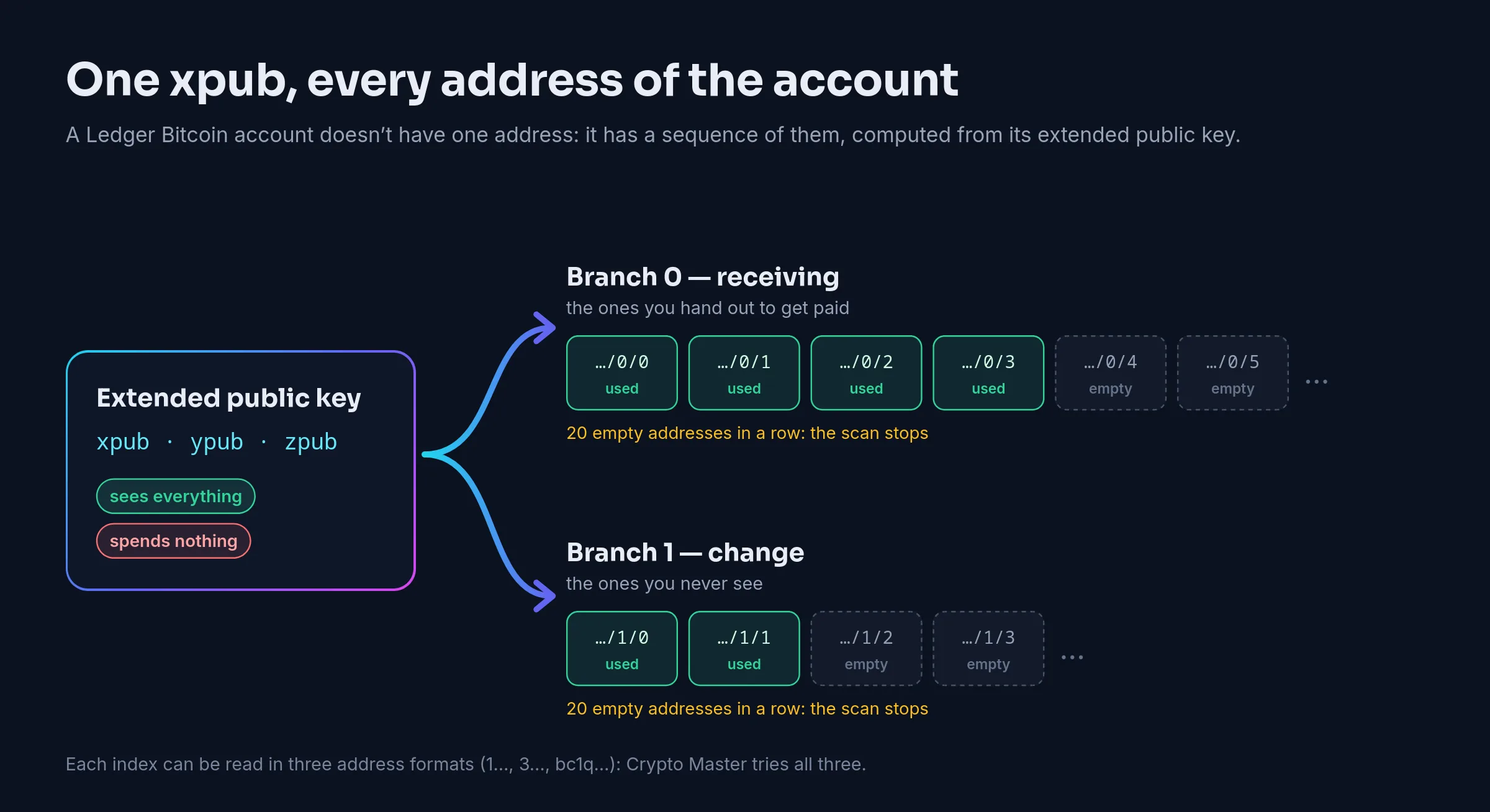 Diagram: an extended public key (xpub, ypub or zpub), which sees everything and spends nothing, yields two branches of addresses; branch 0 for receiving, where addresses …/0/0 to …/0/3 are used and the next ones are empty, and branch 1 for change, where …/1/0 and …/1/1 are used; the scan stops after 20 empty addresses in a row