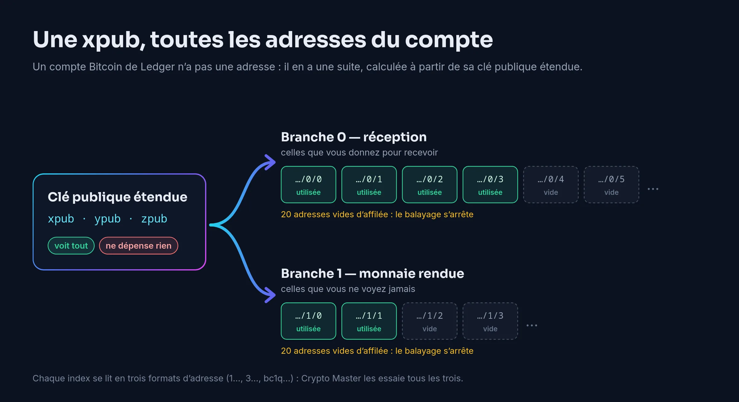 Schéma : une clé publique étendue (xpub, ypub ou zpub), qui voit tout et ne dépense rien, engendre deux branches d’adresses ; la branche 0 de réception, dont les adresses …/0/0 à …/0/3 sont utilisées et les suivantes vides, et la branche 1 de monnaie rendue, dont …/1/0 et …/1/1 sont utilisées ; le balayage s’arrête après 20 adresses vides d’affilée